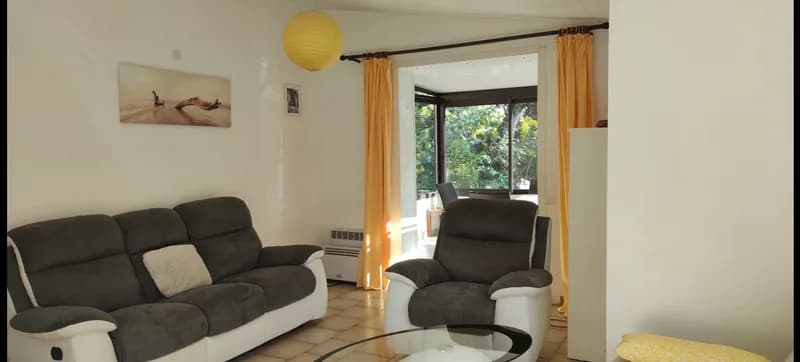 Allocigale_oiseaux_salon.jpg