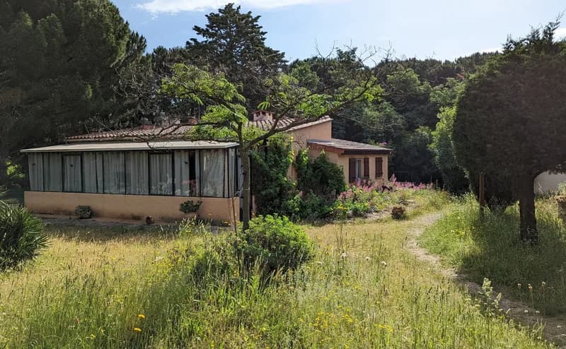 Allocigale_Grillons_printemps.jpg