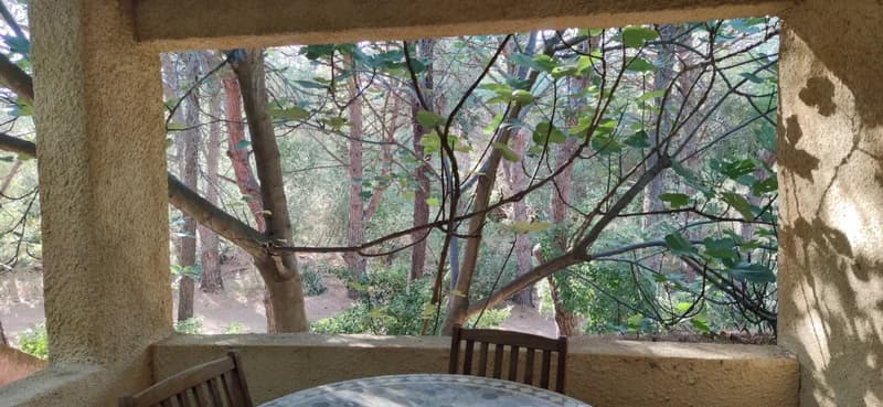 Allocigale_Pins_loggia_vue.jpg