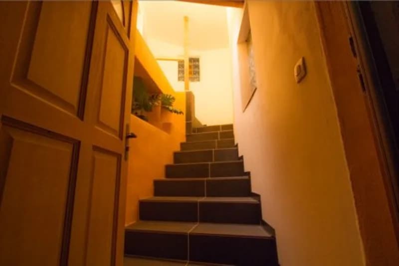 Allocigale_Mimosas_escalier_01-1.jpg